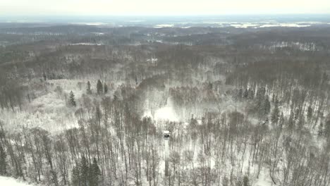 árboles-Cubiertos-De-Nieve-En-El-Bosque-Durante-Un-Invierno-Severo-Visto-Desde-Un-Dron