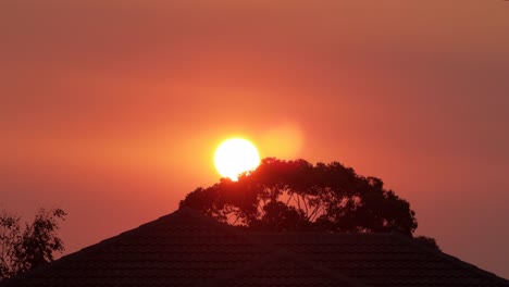 Atardecer-Cielo-Rojo-árboles-De-Goma-Australia-Victoria-Gippsland-Maffra