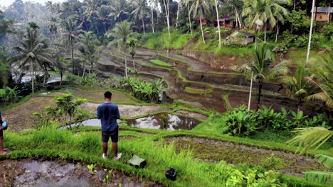 Macho-Adulto-Parado-En-El-Borde-De-La-Hermosa-Terraza-De-Arroz-De-Tegallalang-En-Bali,-Indonesia