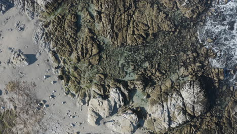 4K-overhead-of-the-beautiful-tide-pools-at-Point-Pinos-in-Pacific-Grove-along-the-Monterey-Bay-in-California