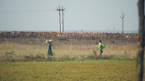 Una-Pareja-De-Trabajadores-Agrícolas-Trabajando-En-Un-Campo-De-Cultivo-Durante-Una-Calurosa-Tarde-De-Verano-En-El-Centro-De-La-India