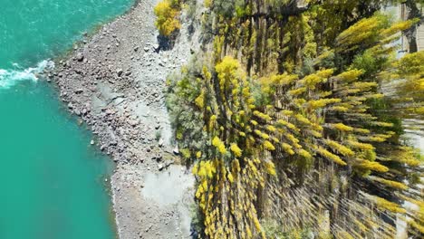 Aerial-Birds-Eye-View-Of-Autumnal-Trees-In-Skardu-Valley-Beside-Turquoise-Indus-River