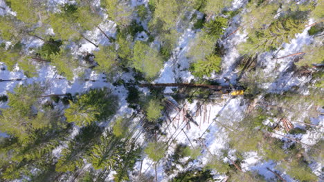 Deforestación-Mediante-Cosechadora-Navegando-Por-Una-Pista-Forestal-Nevada-En-Suecia