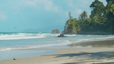 A-mesmerizing-tropical-beach-vista-with-undulating-waves-and-azure-skies-stretching-into-the-horizon