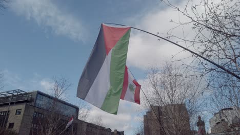 The-Palestine-and-Lebanon-flags-are-flown-together