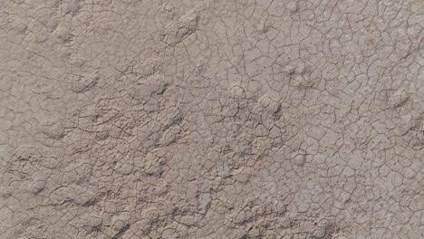 Clip-De-Vista-De-Pájaro-Moviéndose-Sobre-Tierra-Seca-Y-Agrietada-En-El-Desierto-Del-Interior-De-Australia