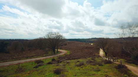 Panorama-über-Veluwe-Heide-Mit-Brauner-Heide-Im-Frühen-Frühling-Niederlande-Landschaft