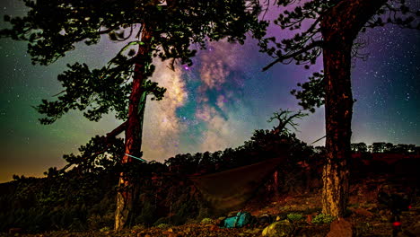 Milky-Way-Galaxy-Time-Lapse-Stars-And-Meteors-hammock-camp-stargazing-forest