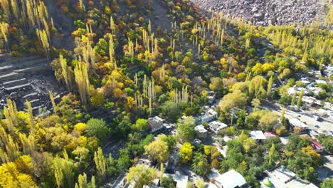 Drone-view-of-rural-Skardu-city-surrounded-by-tall-yellow-and-green-trees-in-Pakistan