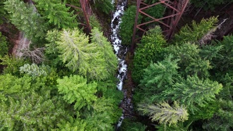 Bird's-eye-view-of-flowing-river-above-Evergreen-forest-tree-tops-and-bridge-in-Snoqualmie,-Washington-State