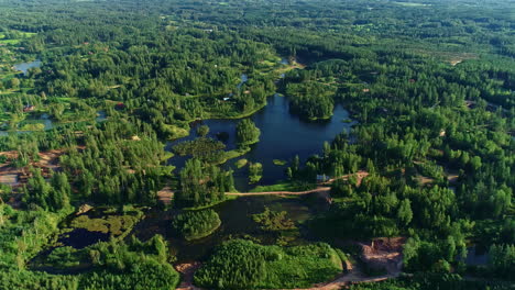 See-Umgeben-Von-Wald-Luftaufnahmen-Filmische-Drohne-Flüge-Natur-Landschaft-Grün