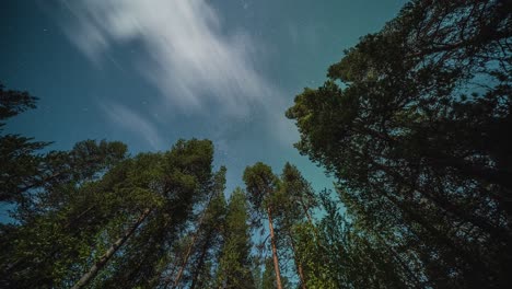 Fascinante-Danza-De-La-Aurora-Boreal-En-El-Cielo-Nocturno-Estrellado