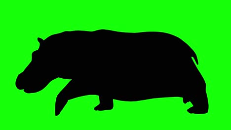 A-silhouette-of-a-hippo-running-on-green-screen,-side-view