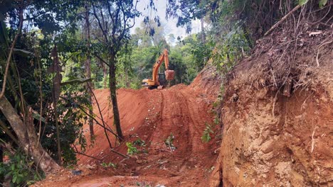 Excavadora-Limpiando-Terrenos-En-Un-Entorno-De-Bosque-Exuberante