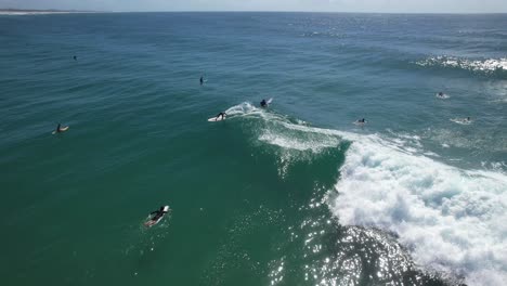 People-Surfing-At-Cabarita-Beach-In-NSW,-Australia---Drone-Shot