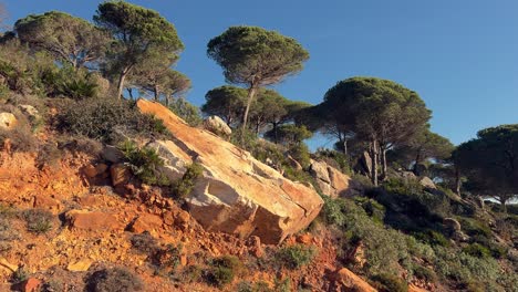 Journeying-through-the-Mediterranean-landscape-under-the-radiant-sun-and-arid-climate,-capturing-a-moment-along-Spain's-coastline