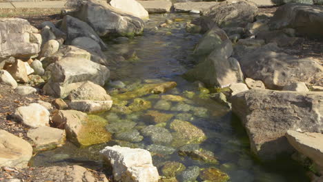 Narrow-freshwater-stream-with-many-smooth,-rounded-rocks-in-and-around-the-gently-flowing-water
