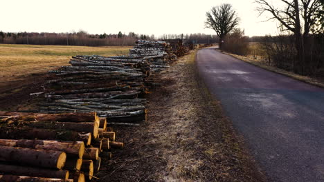 Pile-of-pine-and-birch-logs-stacked-at-the-roadside-for-transportation