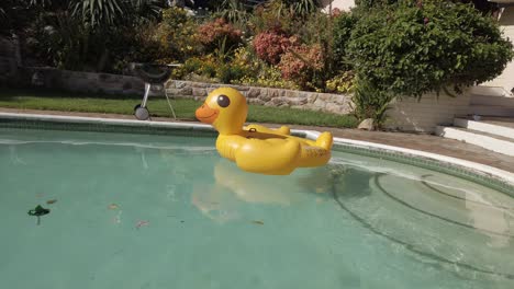 Aufblasbare-Gummiente,-Die-In-Einem-Ruhigen-Swimmingpool-Schwimmt