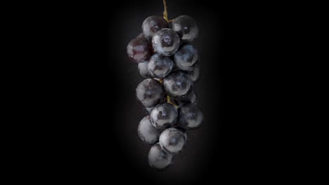 A-rotating-perspective-showcasing-blackberries-against-a-sleek-black-backdrop,-symbolizing-the-essence-of-nutritious-eating-and-dietary-wellness