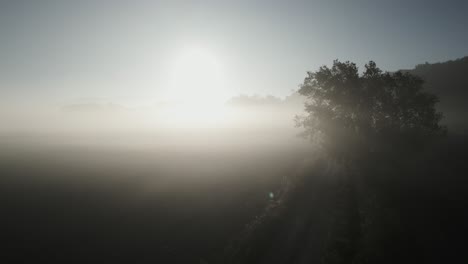 Sunrise-drone-fly-agricultural-fields-closeup-skyline-glowing-foggy-mountains-in-Spain,-Barcelona,-countryside,-heaven-background