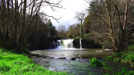 Waterfall-with-stepping-stones-Poulassy-Waterfalls-Mullinavat-Kilkenny-on-a-spring-day