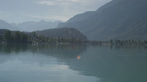 Two-Ducks-Swimming-Across-Perfect-View-of-Scenic-Harbor-|-Rural-European-Mountainside-with-Great-Lake