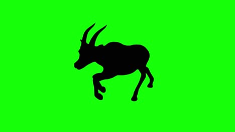 A-silhouette-of-a-gazelle-running-on-green-screen,-perspective-view
