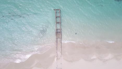 Die-Luftaufnahme-Fängt-Die-Ruhe-Eines-Verlassenen-Karibischen-Strandes-Ein-Und-Zeigt-Einen-Alten-Pier,-Während-Darunter-Ein-Stachelrochen-Anmutig-Durch-Das-Wasser-Gleitet