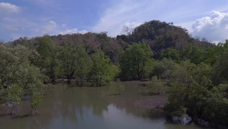 Mangroven-Fluss-Ansicht-üppiges-Grün-Bewölkter-Himmel