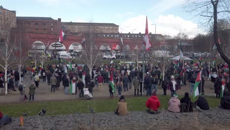 Plano-General-De-Una-Manifestación-A-Favor-De-Palestina-En-El-Parque-Barrowland.