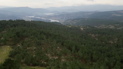 Aerial-dolly-above-forest-road-to-establish-Punxin-river-valley-in-Ourense-Spain