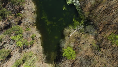 Above-View-Of-Glen-Springs-Lake-In-Tipton-County,-Tennessee,-USA