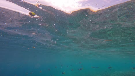 Banco-De-Peces-Bajo-La-Superficie-Del-Mar-Con-Olas.