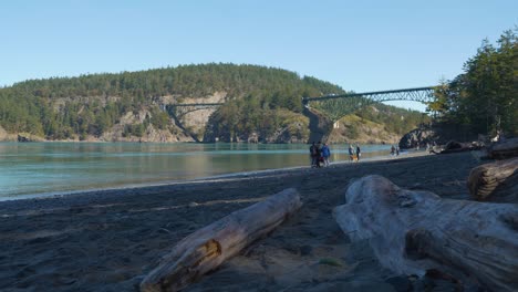 Treibholz-Am-Strand-Mit-Der-Deception-Pass-Steel-Bridge-Im-Hintergrund