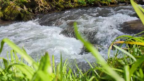 Zeitlupe,-Schneller-Fluss-Mit-Grasufer-Im-Frühling