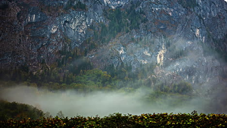 Malerische-Landschaft-Der-österreichischen-Europäischen-Alpen,-Nebel-über-Grünem-Kiefernwald,-Berglandschaft-Im-Zeitraffer-Mit-Gelben-Blumen-Und-Strukturierten-Blaugrauen-Felsen