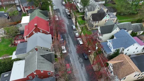 Colorful-rooftops-of-houses-in-american-residential-suburb