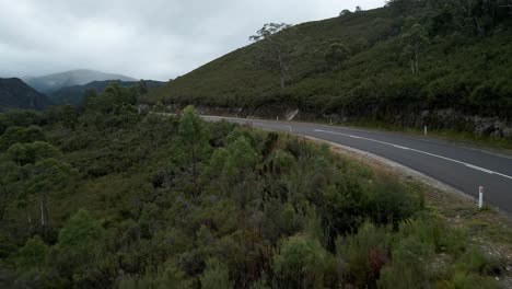 Einsame-Straße-Im-Ländlichen-Outback-Wald