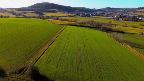 Expansive-Aerial-View-Over-Vibrant-Green-Agricultural-Fields