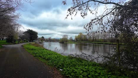 Paseo-Por-El-Río-Barrow-En-Goresbridge-Co