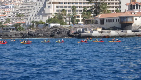 Grupo-De-Kayakistas-Cerca-De-La-Costa,-Con-Paisaje-Urbano-Y-Palmeras-Al-Fondo