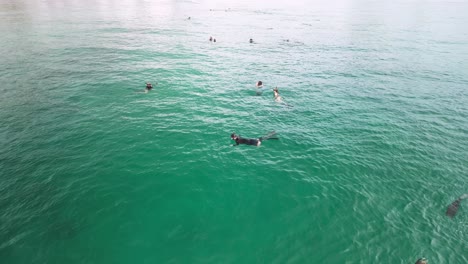 Schulen-Von-Hammerhaien-Schwimmen-Unter-Menschen,-Die-Im-Meer-Am-Beliebten-Strand-Von-Burleigh-Heads-Schnorcheln