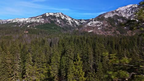 Scenic-smooth-shot-above-evergreen-forest-tree-tops-with-snow-capped-mountain-range-in-background-in-Cle-Elum-on-a-blue-sky-day-in-Washington-State