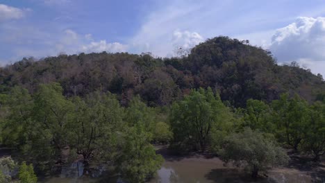 Manglares-Río-Vista-Exuberante-Vegetación-Cielo-Nublado