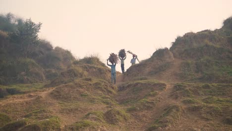 Dorfbewohner-Tragen-Holz-Und-Wandern-In-Der-Halbtrockenen-Moorlandschaft-Des-Chambal-Flusstals-In-Beehad-Von-Morena-Dholpur-In-Madhya-Pradesh,-Rajasthan,-Indien