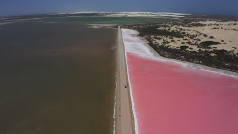 Aerial-Drone-view-of-the-pink-Lake-MacDonnell,-Eyre-Peninsula,-South-Australia