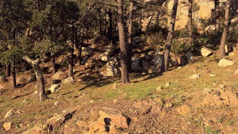 Traveling-through-the-Mediterranean-scenery-under-the-bright-sun-and-dry-climate,-capturing-a-moment-along-the-Spanish-coastline