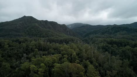 Tasmanian-Wilderness-World-Heritage-Area---Franklin-Gordon-Wild-Rivers-National-Park-In-Southwest,-Australia