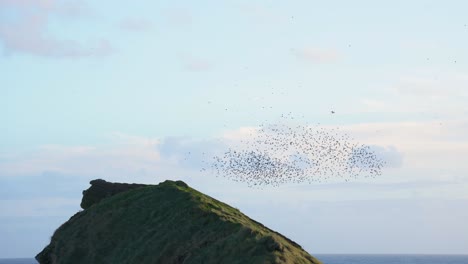 Synchronized-flight-of-starlings-in-sky,-mesmerizing-upward-view-of-murmuration
